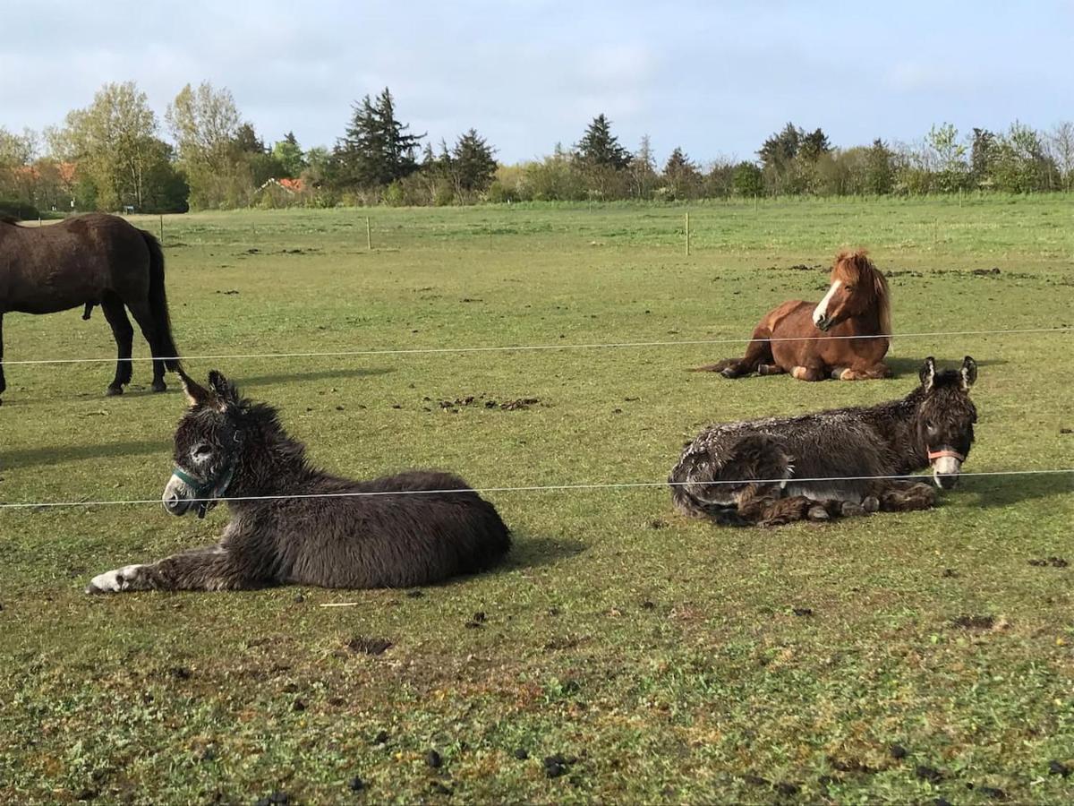 Bb-Vadehavet Ferielejlighed Til 6 Personer Ved Nationalpark Vadehavet Рибе Экстерьер фото